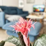 Sunny Central One-bedroom Apartment *