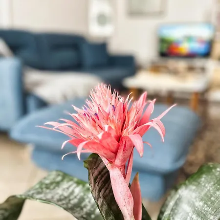 Sunny Central One-bedroom Appartement *