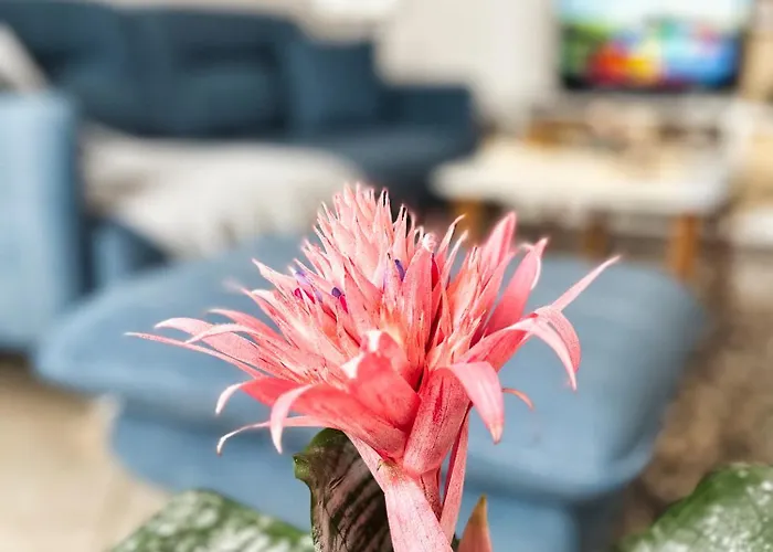 Sunny Central One-bedroom Apartment *